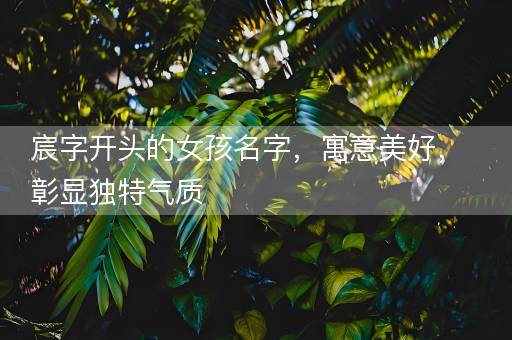 宸字开头的女孩名字，寓意美好，彰显独特气质