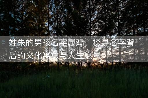 姓朱的男孩名字属鸡，探寻名字背后的文化寓意与人生愿景
