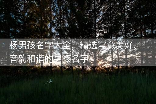 杨男孩名字大全，精选寓意美好、音韵和谐的男孩名字