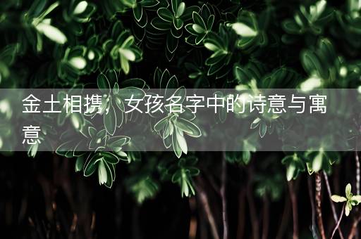 金土相携，女孩名字中的诗意与寓意