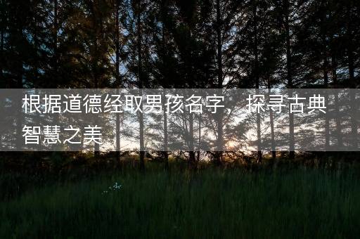 根据道德经取男孩名字，探寻古典智慧之美