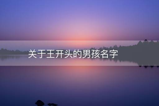 关于王开头的男孩名字