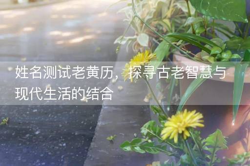 姓名测试老黄历，探寻古老智慧与现代生活的结合