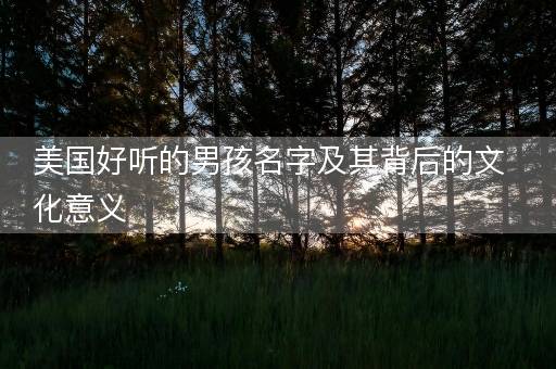 美国好听的男孩名字及其背后的文化意义