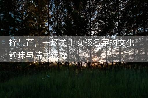 梓与芷，一场关于女孩名字的文化韵味与诗意选择