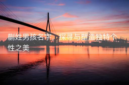 蒯姓男孩名字，探寻与塑造独特个性之美