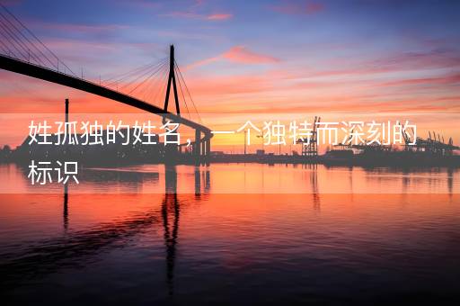 姓孤独的姓名，一个独特而深刻的标识