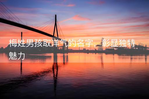梅姓男孩取洋气的名字，彰显独特魅力