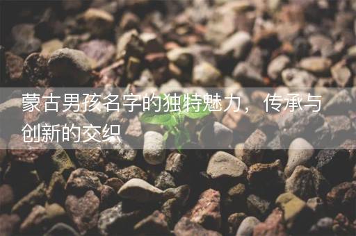 蒙古男孩名字的独特魅力，传承与创新的交织