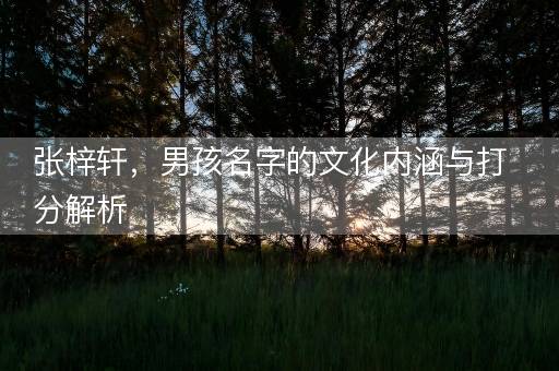 张梓轩，男孩名字的文化内涵与打分解析