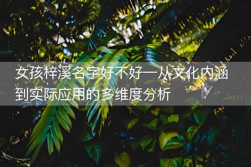 女孩梓溪名字好不好—从文化内涵到实际应用的多维度分析