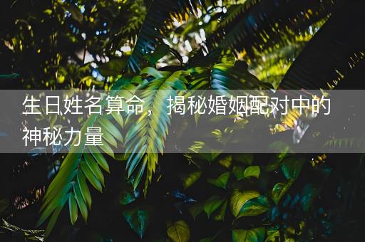 生日姓名算命，揭秘婚姻配对中的神秘力量
