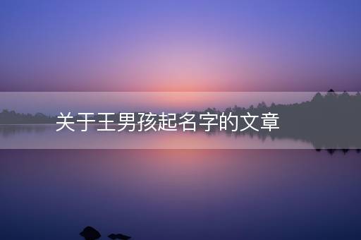 关于王男孩起名字的文章