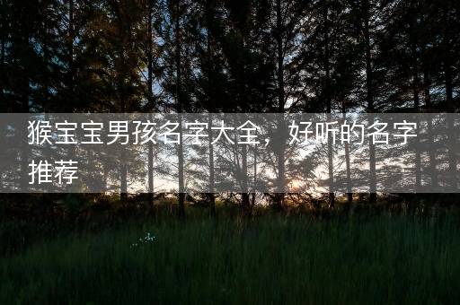 猴宝宝男孩名字大全，好听的名字推荐