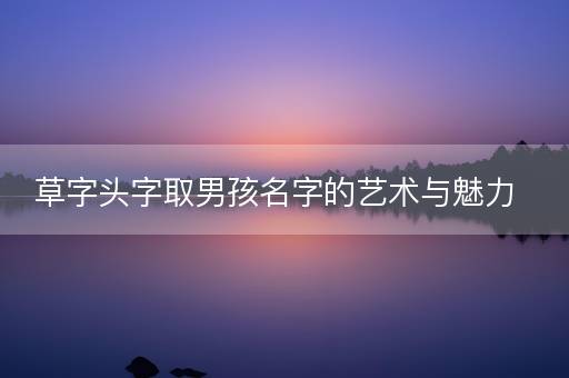 草字头字取男孩名字的艺术与魅力