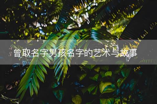 曾取名字男孩名字的艺术与故事
