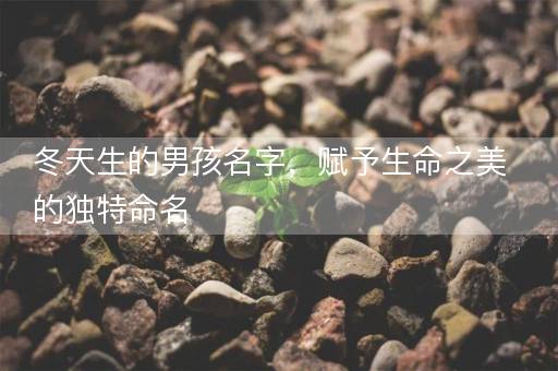 冬天生的男孩名字，赋予生命之美的独特命名