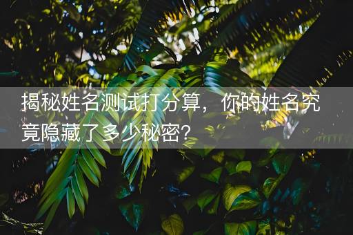 揭秘姓名测试打分算，你的姓名究竟隐藏了多少秘密？