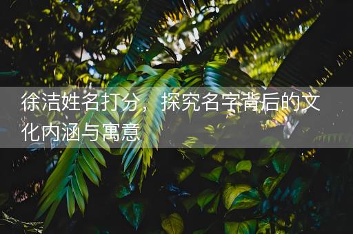 徐洁姓名打分，探究名字背后的文化内涵与寓意