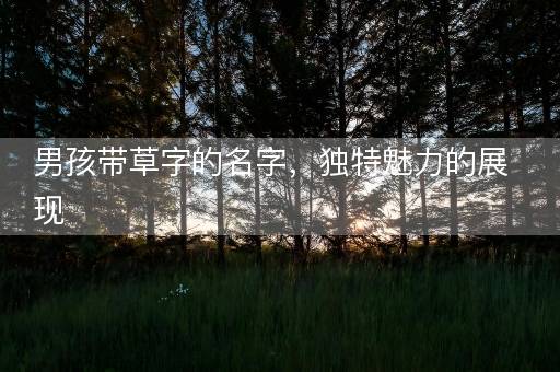 男孩带草字的名字，独特魅力的展现