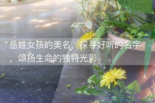 岳姓女孩的美名，探寻好听的名字，颂扬生命的独特光彩