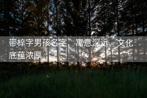 带梓字男孩名字，寓意深远，文化底蕴浓厚