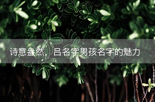 诗意盎然，吕名字男孩名字的魅力