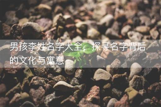 男孩李姓名字大全，探寻名字背后的文化与寓意