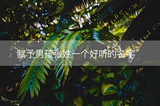 赋予男孩张姓一个好听的名字