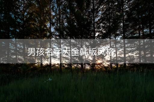 男孩名字大全韩版风格
