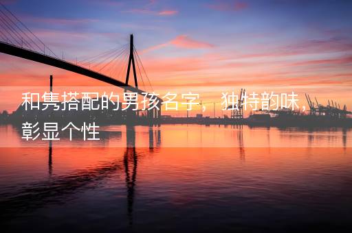 和隽搭配的男孩名字，独特韵味，彰显个性