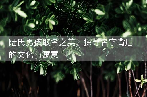 陆氏男孩取名之美，探寻名字背后的文化与寓意