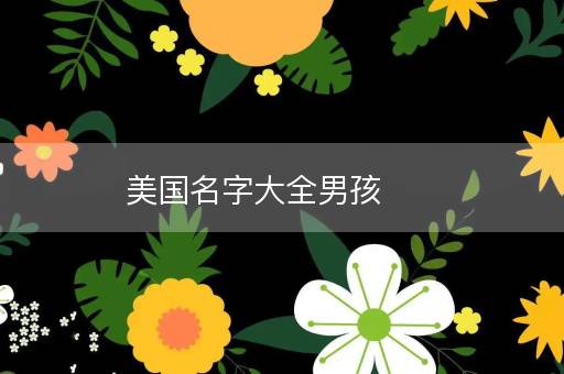 美国名字大全男孩