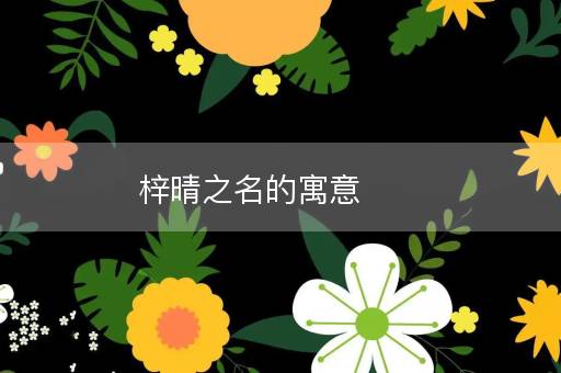 梓晴之名的寓意