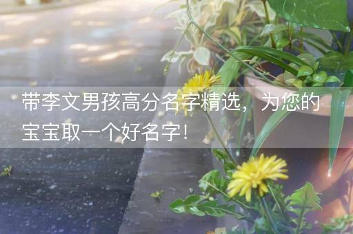 带李文男孩高分名字精选，为您的宝宝取一个好名字！