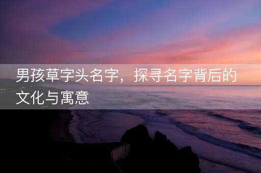 男孩草字头名字，探寻名字背后的文化与寓意