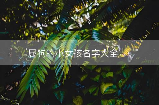 属狗的小女孩名字大全