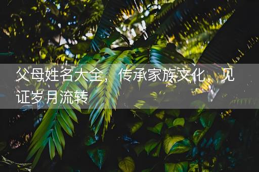 父母姓名大全，传承家族文化，见证岁月流转