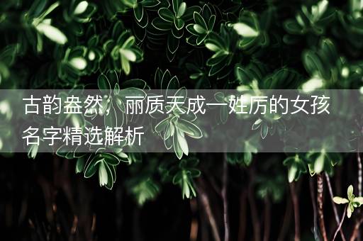 古韵盎然，丽质天成—姓厉的女孩名字精选解析
