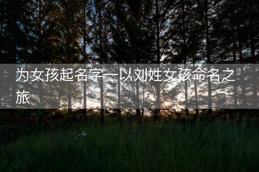 为女孩起名字—以刘姓女孩命名之旅