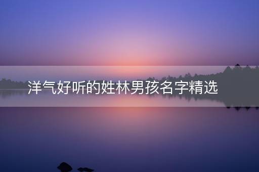 洋气好听的姓林男孩名字精选