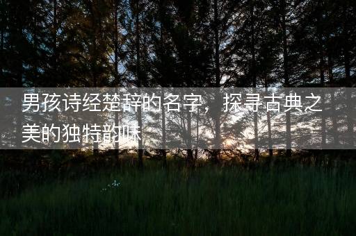 男孩诗经楚辞的名字，探寻古典之美的独特韵味