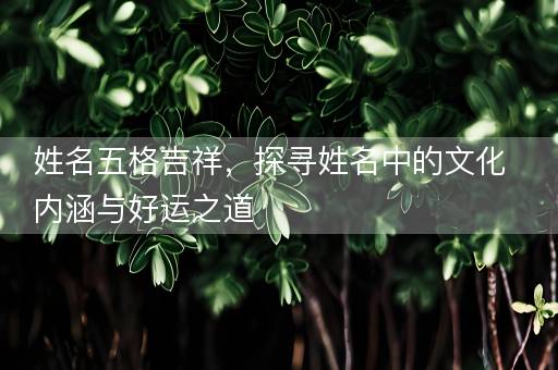 姓名五格吉祥，探寻姓名中的文化内涵与好运之道