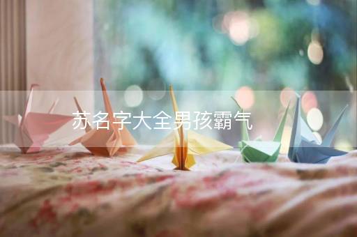 苏名字大全男孩霸气