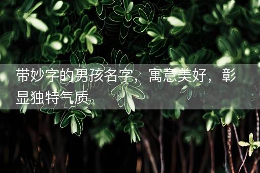 带妙字的男孩名字，寓意美好，彰显独特气质