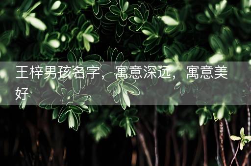 王梓男孩名字，寓意深远，寓意美好