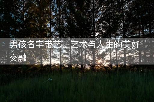 男孩名字带艺，艺术与人生的美好交融