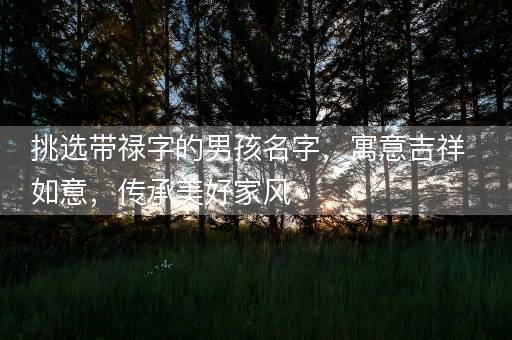 挑选带禄字的男孩名字，寓意吉祥如意，传承美好家风