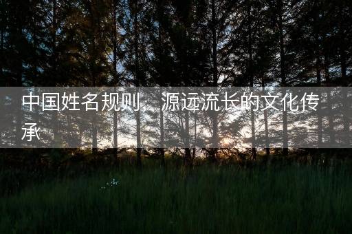中国姓名规则，源远流长的文化传承