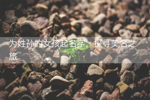 为姓孙的女孩起名字，探寻美名之旅